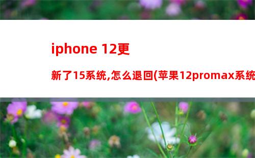iphone 12更新了15系统,怎么退回(苹果12promax系统更新怎么退)